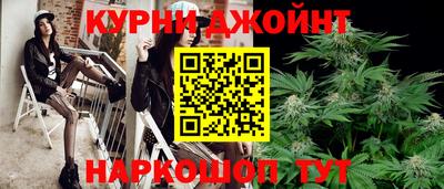 мдпв Кингисепп