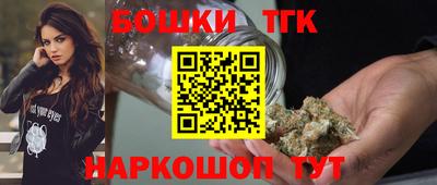 мдпв Кингисепп