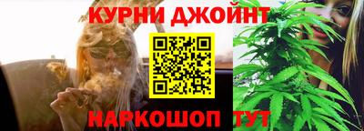 мдпв Кингисепп
