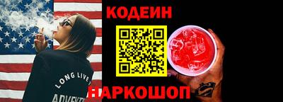 мдпв Кингисепп