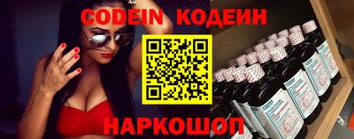 мдпв Кингисепп