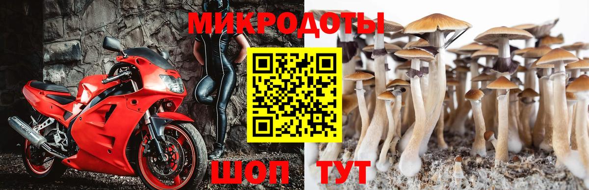 купить наркоту  Галлюциногенные грибы Cubensis  Вход с VPN  Кохма 